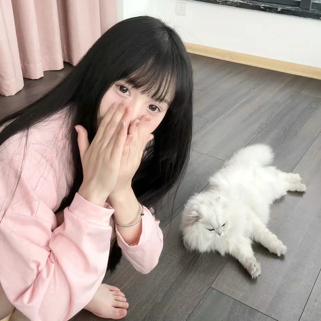 妖狐传